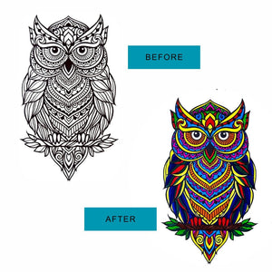 JoGenii Mandala Affirmations Poster Coloring Kit – Animal Theme - Art & Craft