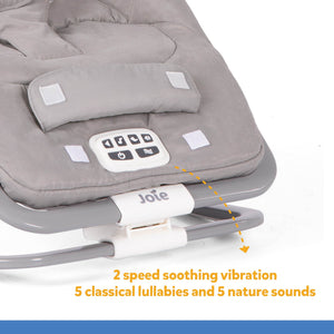 Joie Bouncer Dreamer Fern Birth to 9 KG - B1207BDFRN000