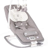 Joie Bouncer Dreamer Fern Birth to 9 KG - B1207BDFRN000