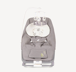 Joie Dreamer Baby Bouncer Chair Birth to 9 Kg | The Mom Store - In The Rain Baby Bouncers & Rockers