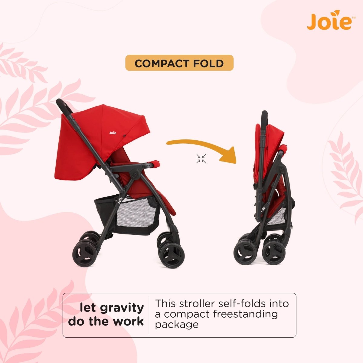 Joie Mirus Lychee - S1703ADLYC000