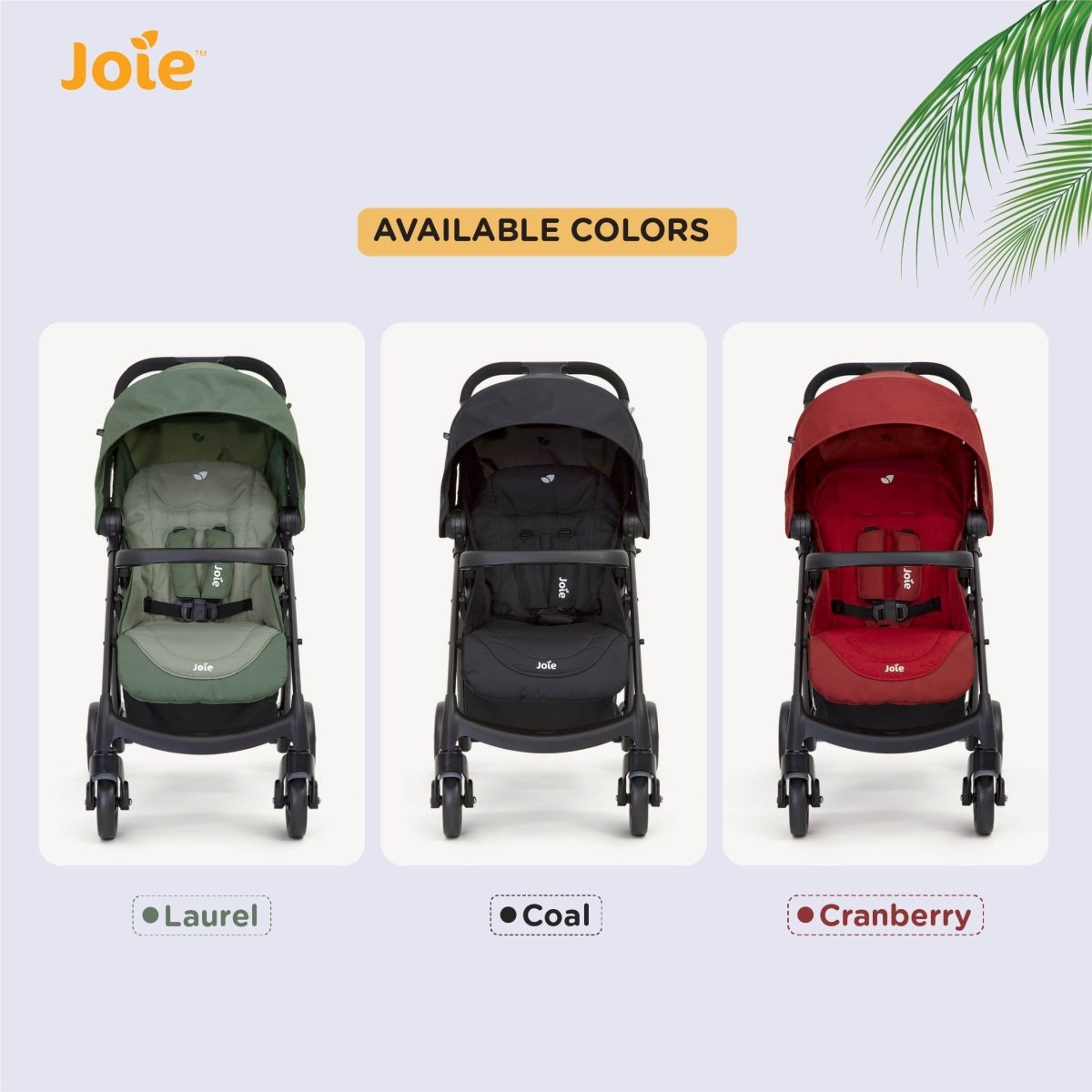 Joie MUZE LX W/ FM - S1035GDCOL000