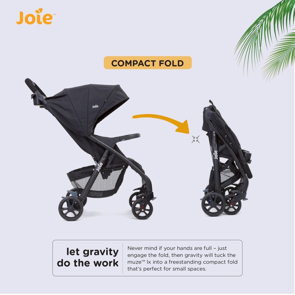 Joie MUZE LX W/ FM - S1035GDCOL000