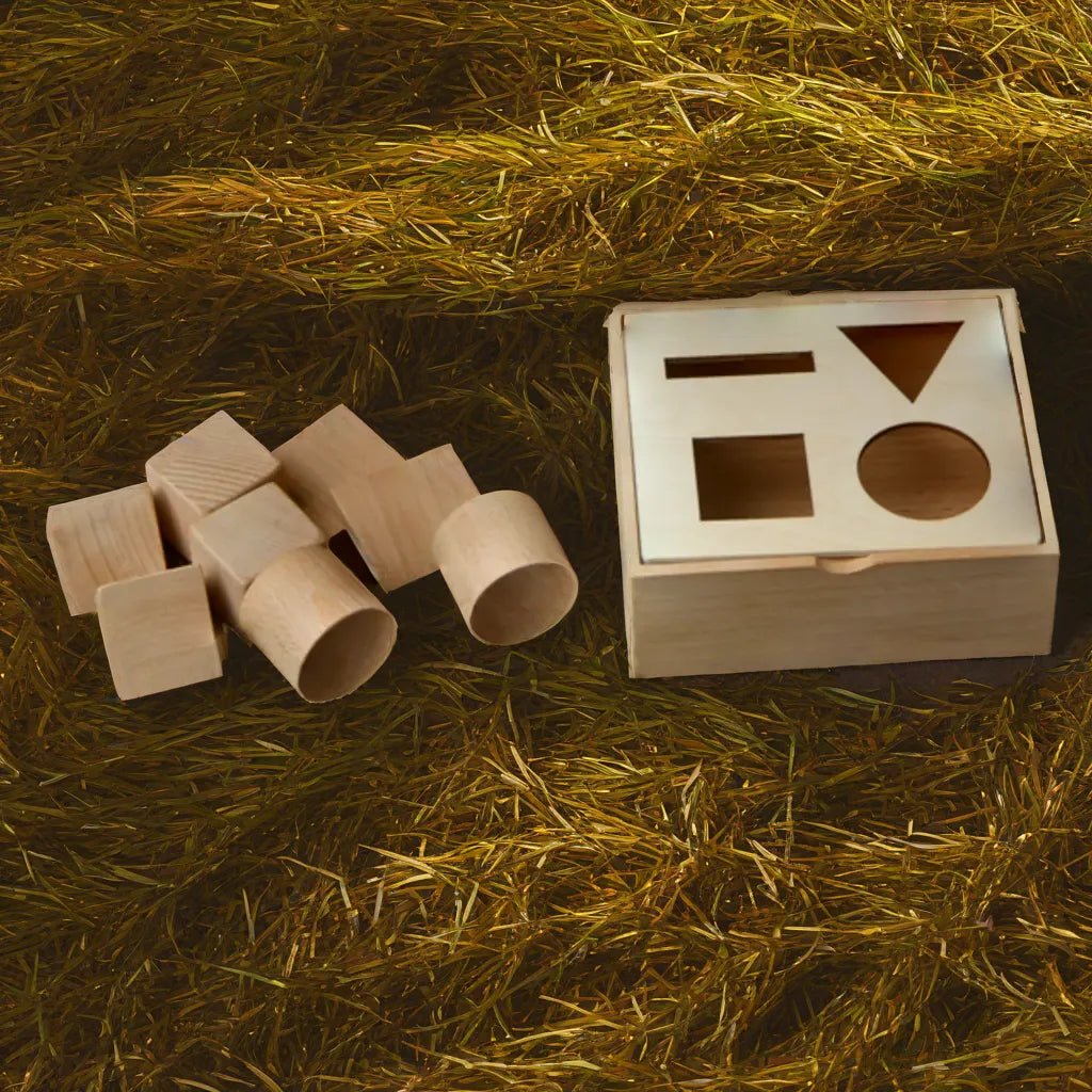 Kidocoo Geometry Shape Puzzle - Wooden Puzzle
