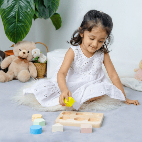 Kidocoo Shape Puzzle - Wooden Toy - SP - 7N