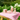 Kidocoo Toddler Shape Set - TSS - 6N