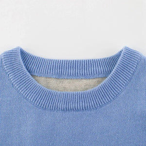 Kids Grey & Light Blue Dino Cardigan Sweater with 3d Tail Applique - 2 - 3 Years Winter Wear