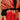 Laal Libaas Embroidered Woolen Stoles - Onesize Winter Stoles