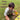Lattooland Junior Gardening Set - Gardner's Kit