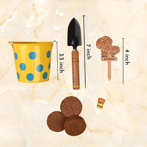 Lattooland Junior Gardening Set - Gardner's Kit