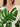 Leaf It To Me Maternity and Nursing Kaftan Nighty - S Maternity Nightwear