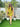 Lime Zest Sorbet Co-ord Set - Free-size Women's Co ord Set