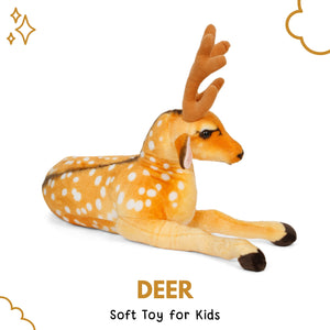 Little Ginnie Deer Soft Toy | Plush Animal Toy for Kids 6 Months+ | Soft Toys for Home Decoration - LG - DEER - ST