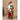 Little Surprise Box 12 inches Red Checks Santa , Christmas Home and Table Décor - Christmas Decor