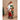 Little Surprise Box 12 inches Red Checks Santa , Christmas Home and Table Décor - Christmas Decor
