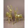 Little Surprise Box 18 inches & 15inches 2pcs Gold Reindeer Combo Christmas Décor - Christmas Decor