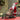 Little Surprise Box 20 inches Standing Sledge Santa Christmas Home and Table Décor - Christmas Decor