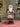 Little Surprise Box 20 inches Standing Sledge Santa Christmas Home and Table Décor - Christmas Decor