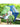 Little Surprise Box, 3 fold Auto Closure Umbrella for Teens and Adults - LSB - UM - 3F - DUCK - PRNTD