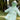 Little Surprise Box 3D Dino Raincoat - Size 1 Kids Rainwear