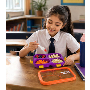Little Surprise Box 4 Section Lunch Box | The Mom Store - Purple Lunch Box