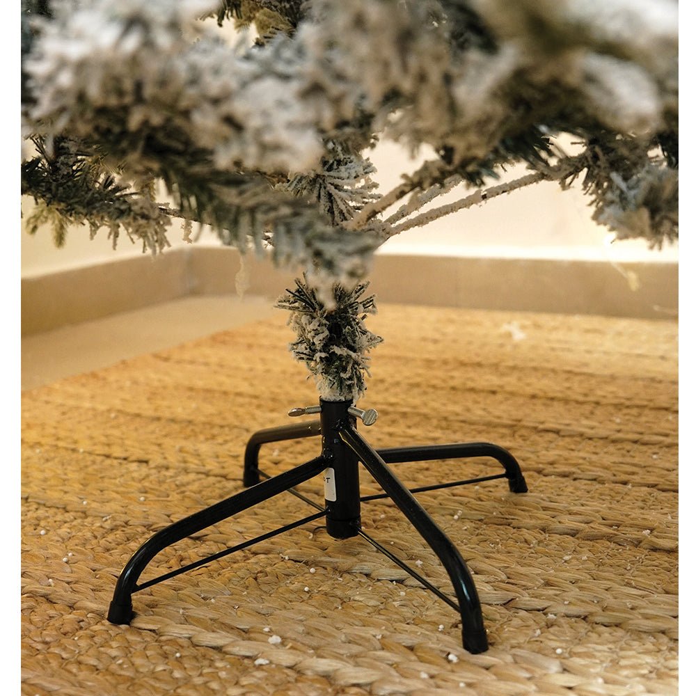 Little Surprise Box 4.9 feet Snow Cherry thick rounded Leaf, Dense Christmas Tree - Christmas Tree