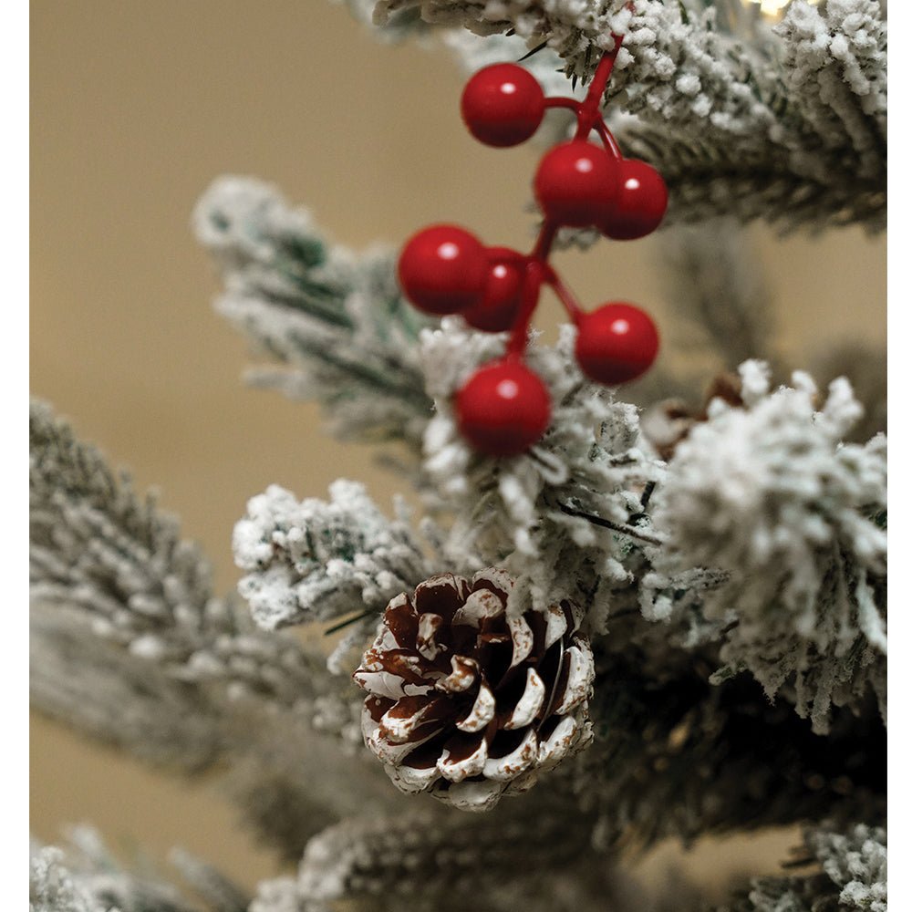 Little Surprise Box 4.9 feet Snow Cherry thick rounded Leaf, Dense Christmas Tree - Christmas Tree