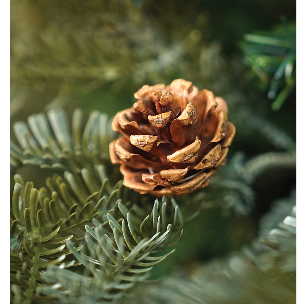 Little Surprise Box 5.9 feet Heavy Flocked Dense Pinecone Christmas Tree - Christmas Tree