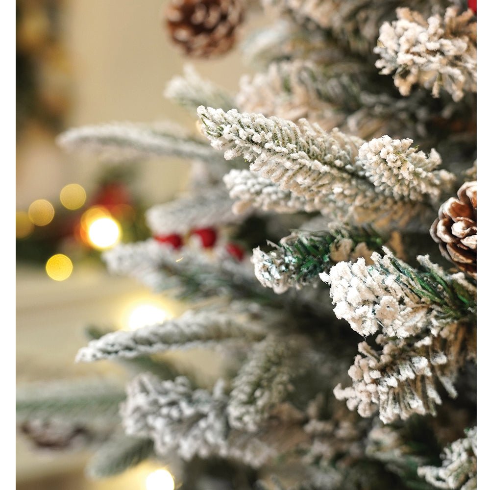 Little Surprise Box 5.9 feet Snow Cherry thick rounded Leaf, Dense Christmas Tree - Christmas Tree