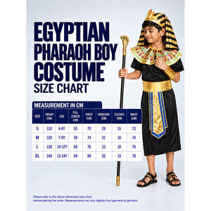 Little Surprise Box, Black & Gold Egyptian Pharaoh Boy, Kids Halloween Costume Fancy Dress Up - M Halloween Costumes