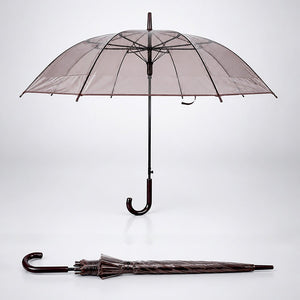 Little Surprise Box Brown Jelly Umbrella | The Mom Store - Monsoon Wear