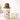 Little Surprise Box Brown Teddy Stainless Steel Kids Water Bottle 500ml - Water Bottle