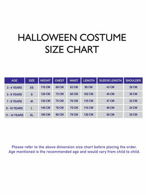 Little Surprise Box Captain Superhero Kids Halloween Costume Fancy Dress Up - LSB - HWC - CAPTAINHERO - 4 - 6Y