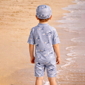 Little Surprise Box Dolphin Swimwear - Full Coverage Comfort | The Mom Store - 2 - 3 Years Boys Swimwear