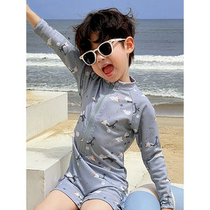 Little Surprise Box Dolphin Swimwear - Full Coverage Comfort | The Mom Store - 2 - 3 Years Boys Swimwear