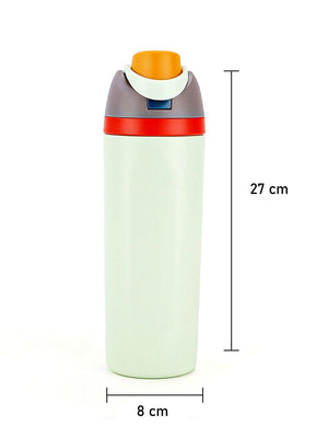 Little Surprise Box Flip Lid styled Premium Stainless steel Double Wall Bottle for Office, Gym and School, 750ML - Mint