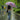 Little Surprise Box, Floral Tile Print Umbrella for Teens & Adults - Pink Umbrella