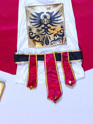 Little Surprise Box, Gold Armor Gladiator, Kids Halloween Costume Fancy Dress Up - LSB - HWC - ARMRGLADTR - 7 - 9Y