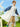 Little Surprise Box, Ivory White Cap Style knee length Raincoat for Kids & Teens - LSB - RC - WHTE - CAP - XL