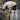 Little Surprise Box Kelly-Jo Teddy Umbrella | The Mom Store - Monsoon Wear