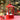 Little Surprise Box Large Red Lantern Snowglobe with Light,Music and Snowfall. - Christmas Decor