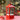 Little Surprise Box Large Red Lantern Snowglobe with Light,Music and Snowfall. - Christmas Decor
