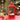 Little Surprise Box Large Red Lantern Snowglobe with Light,Music and Snowfall. - Christmas Decor