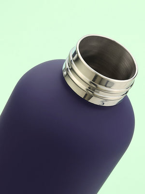 Little Surprise Box ,Matt Finish Premium Stainless steel Double Wall Bottle for Office, Gym and School, 750ML - Purple colour