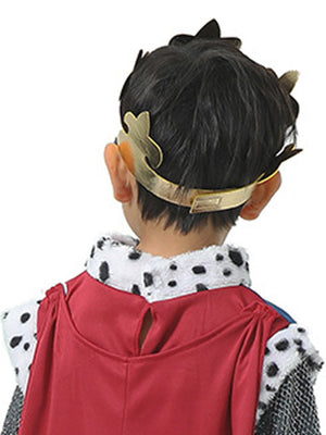 Little Surprise Box Medieval King Halloween Costume Fancy Dress Up - LSB - HWC - MEDIVALKING - 3 - 4Y