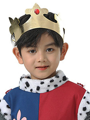 Little Surprise Box Medieval King Halloween Costume Fancy Dress Up - LSB - HWC - MEDIVALKING - 3 - 4Y