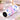 Little Surprise Box Meow & Polka Stainless Steel Tumbler Water Bottle - Purple Water Bottle