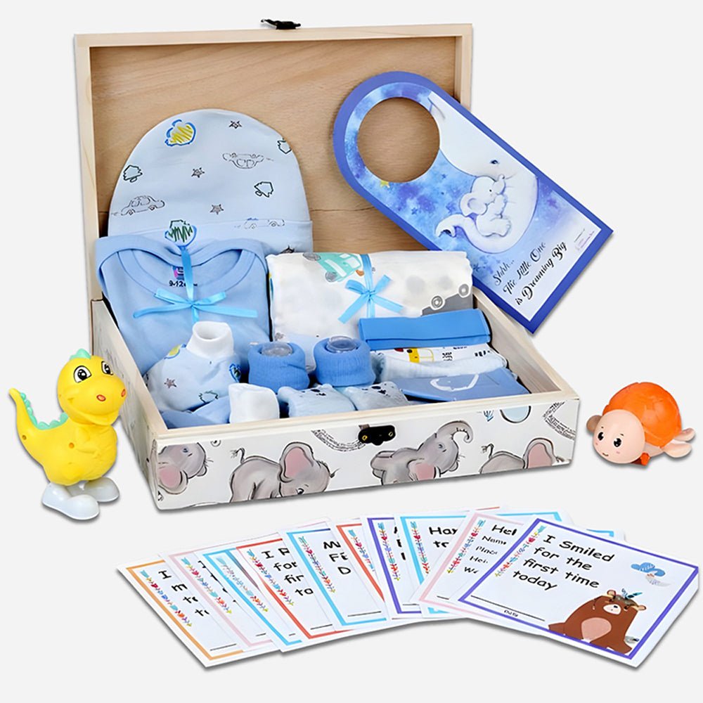 Little Surprise Box Newborn Little Pinewood Gift Hamper Box Set - Blue Baby Gift Sets