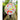 Orange Floral theme Rain & All Season Umbrella for Teens and Adults - Little Surprise BoxOrange Floral theme Rain & All Season Umbrella for Teens and Adults