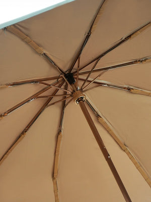 Little Surprise Box Premium 3 fold Auto Closure umbrella for Adults - LSB - UM - 3F - MINT - GOLD